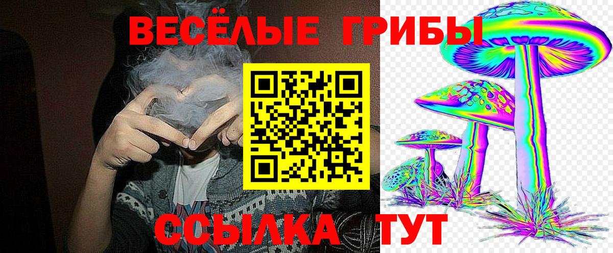 Псилоцибиновые грибы GOLDEN TEACHER  Вход с VPN  Красноуфимск 